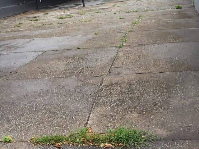 #TE0228 - Terreno para Locação em São Paulo - SP - 3