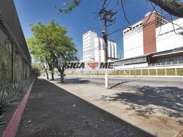 Prédio comercial para Locação em São Paulo - 4
