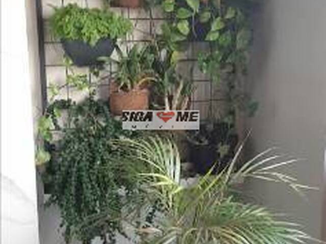 Apartamento para Venda em São Paulo - 2