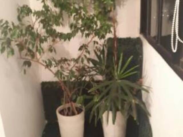 #7098 - Duplex para Venda em São Paulo - SP - 3