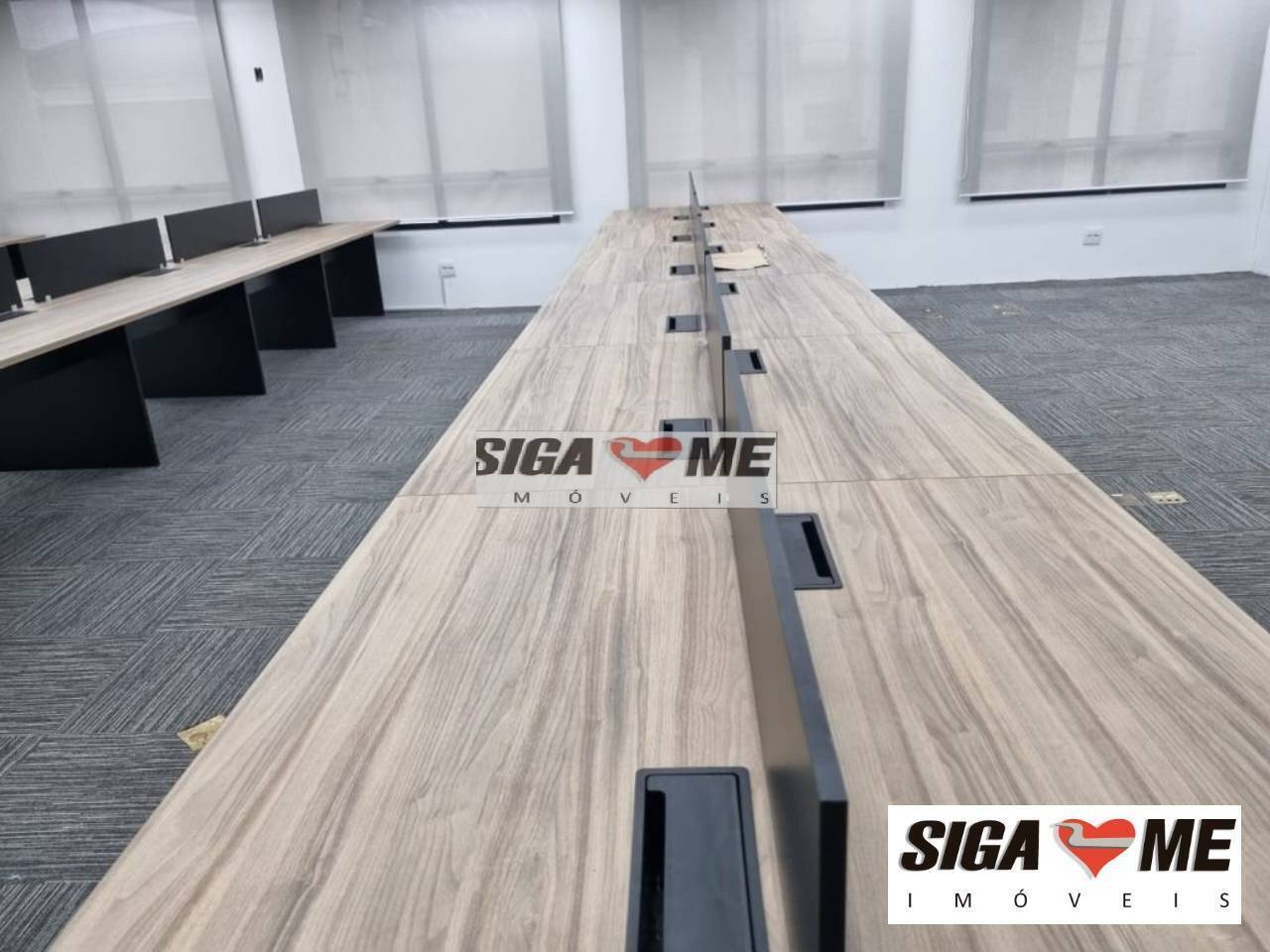 Sala-Conjunto, 260 m² - Foto 3