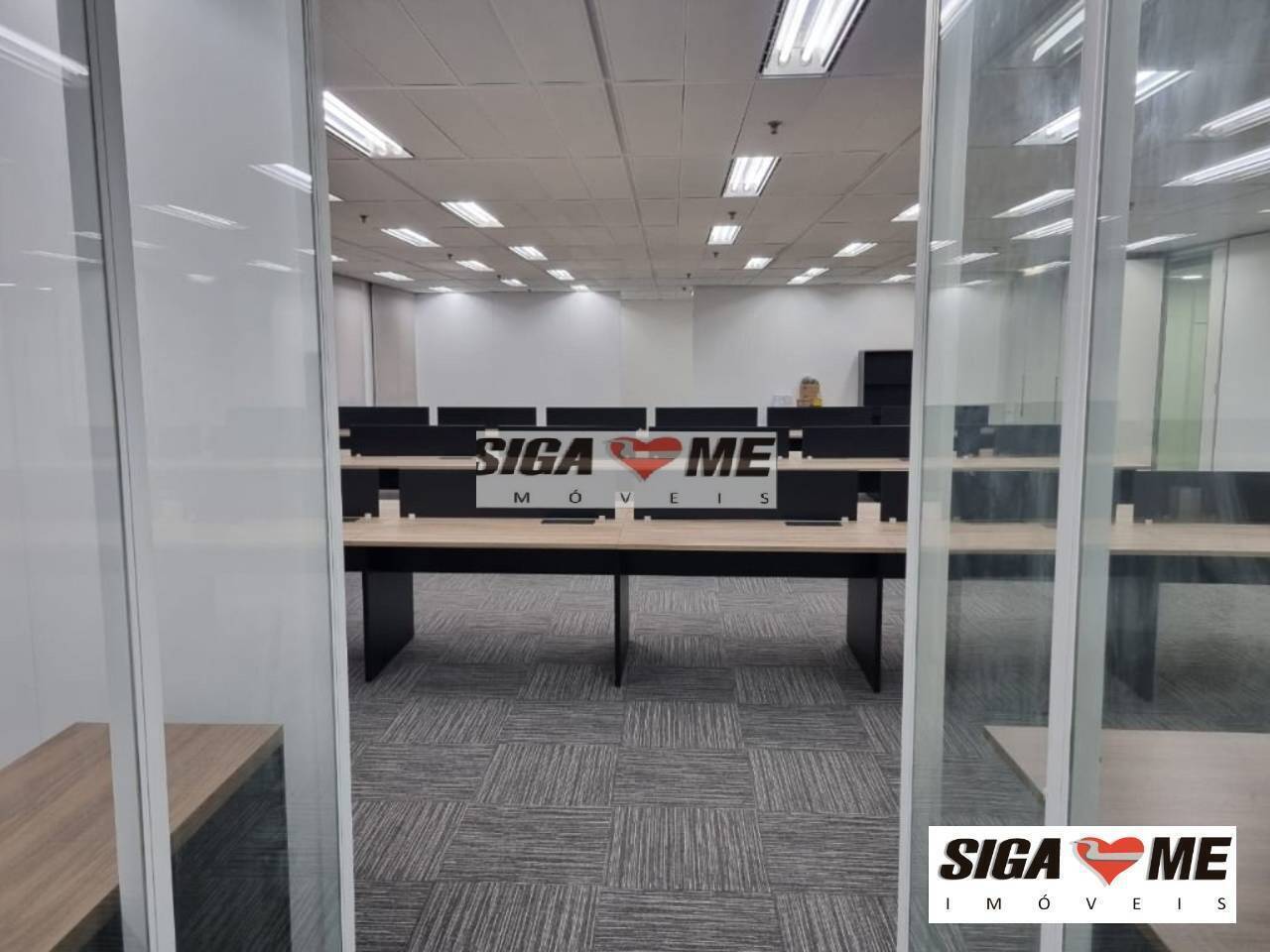Sala-Conjunto, 260 m² - Foto 10