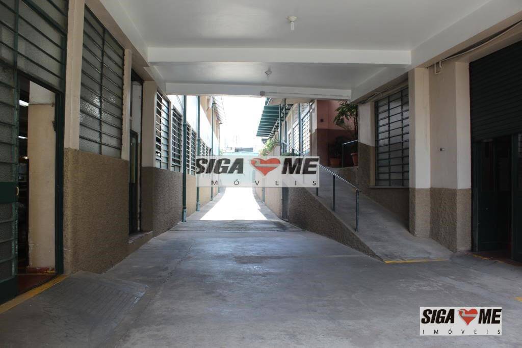 Sala-Conjunto, 8813 m² - Foto 4