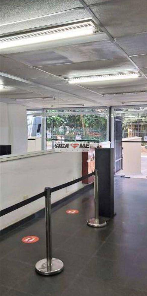 Sala-Conjunto, 300 m² - Foto 3