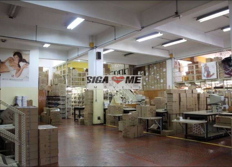 Prédio Inteiro, 8813 m² - Foto 5