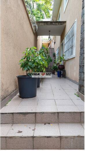 Casa, 3 quartos, 250 m² - Foto 6