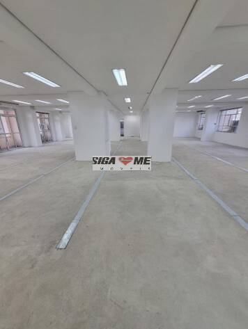 Sala-Conjunto, 554 m² - Foto 3