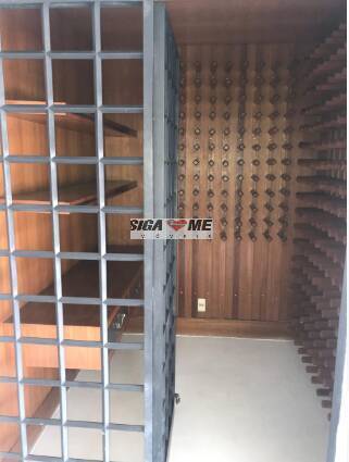 Cobertura, 3 quartos, 325 m² - Foto 25