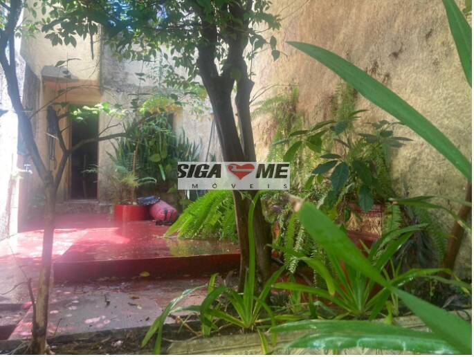 Casa, 3 quartos, 280 m² - Foto 15