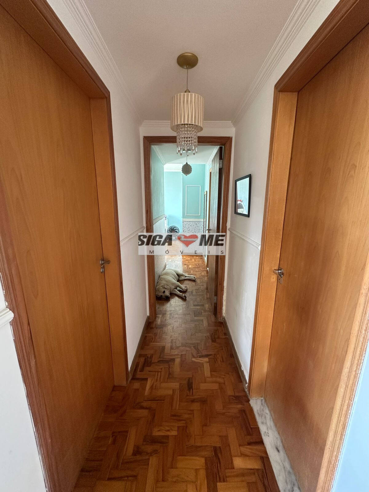 Apartamento, 3 quartos - Foto 7