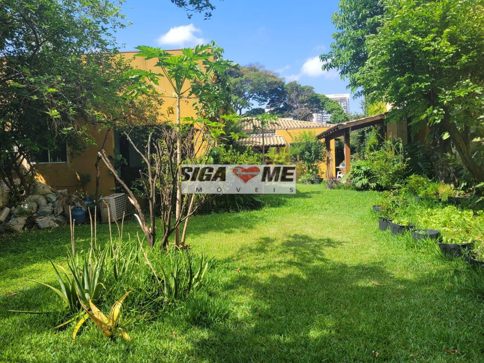 Casa, 4 quartos, 980 m² - Foto 13