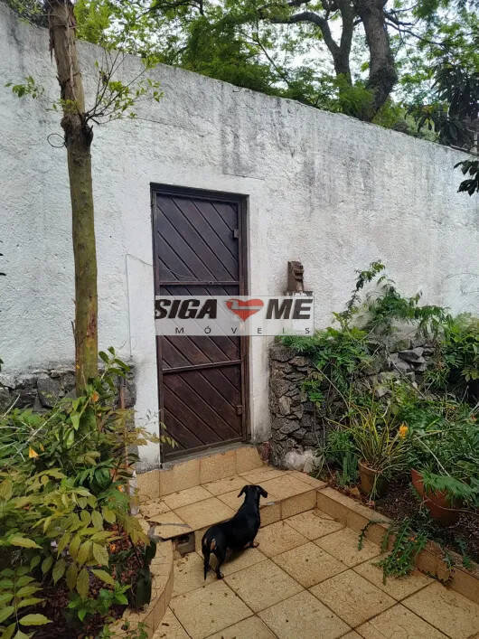 Casa, 3 quartos, 313 m² - Foto 13